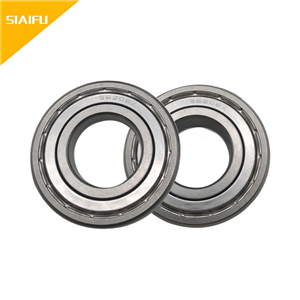 300度满球耐高温丝瓜视频IOS下载 6021ZZ